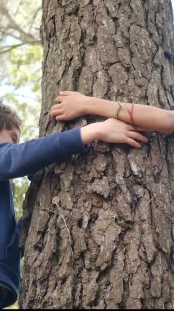 Щасливі Діти Обіймають Дерево Руками Лісове Середовище Емоція Обіймає Дерево — стокове відео