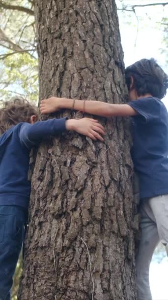 Crianças Felizes Abraçando Uma Árvore Com Mãos Ambiente Florestal Emoção — Vídeo de Stock
