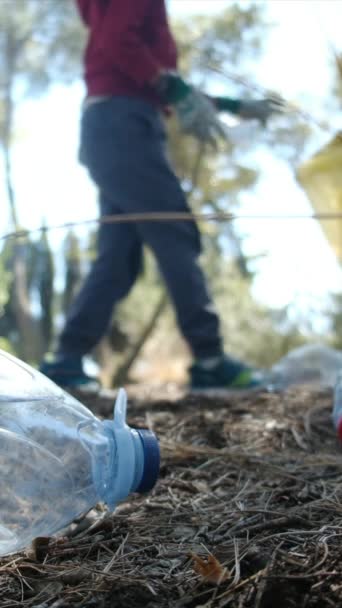 Een Gezin Verzamelt Afval Uit Het Bos Voor Een Goede — Stockvideo