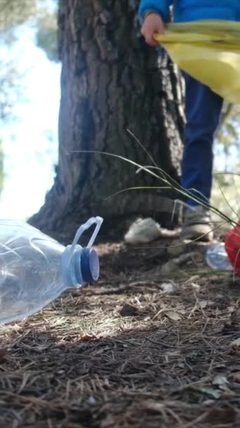Bir Aile Çevreyi Korumak Kirliliği Azaltmak Için Ormandan Çöp Topluyor — Stok video