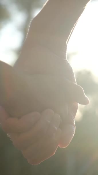 Mengalami Esensi Yang Menghangatkan Hati Dari Hubungan Keluarga Sebagai Siluet — Stok Video