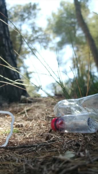 Bottiglie Plastica Nella Foresta Natura — Video Stock