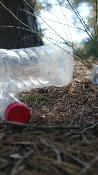 Bottiglie Plastica Nella Foresta Natura — Video Stock