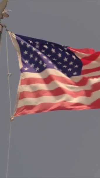 Bandeira Americana Vento — Vídeo de Stock