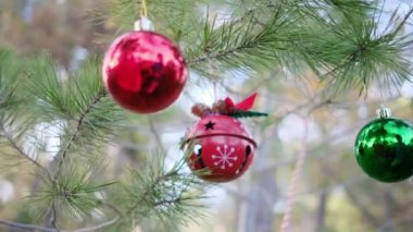 Çocuk dışarıda Noel ağacına dokunuyor.