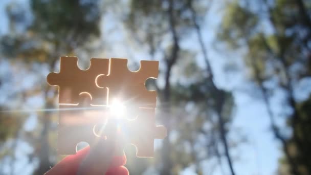 Teamwork Business Finance Konzept Hand Mit Verbundenen Puzzles Park Symbol — Stockvideo