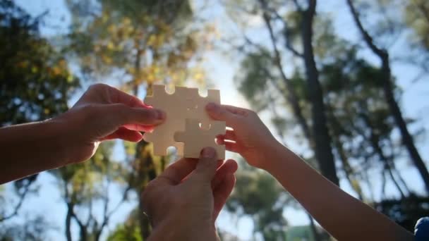 Takım Çalışması Finans Konsepti Parkta Eller Bulmacaları Birbirine Bağlar Ortaklığın — Stok video