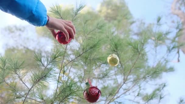 Jongen Versieren Kerstboom Buiten — Stockvideo