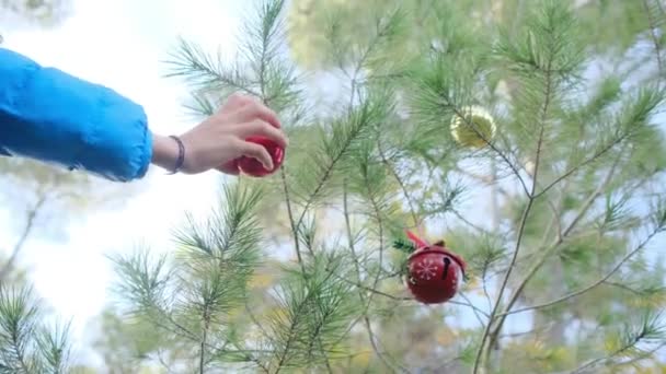 Αγόρι Διακόσμηση Χριστουγεννιάτικο Δέντρο Εξωτερικούς Χώρους — Αρχείο Βίντεο