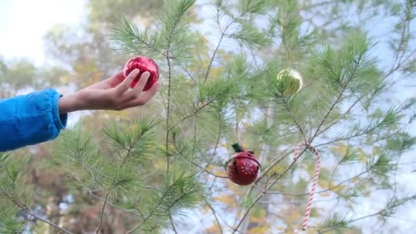 Boy Decorating Christmas Tree Outdoors — Stock Video