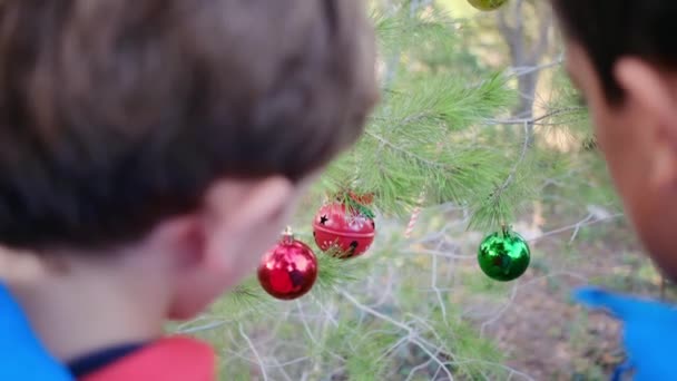 外でクリスマスツリーを飾る兄弟 — ストック動画