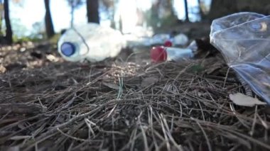 Doğadaki ormanda plastik şişeler