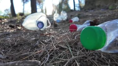 Doğadaki ormanda plastik şişeler