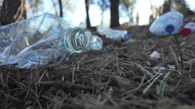 Doğadaki ormanda plastik şişeler