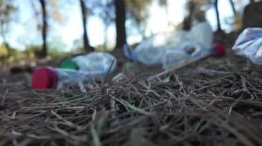 Doğadaki ormanda plastik şişeler