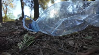 Doğadaki ormanda plastik şişeler