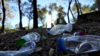 Doğadaki ormanda plastik şişeler