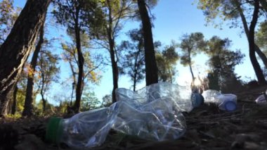 Doğadaki ormanda plastik şişeler