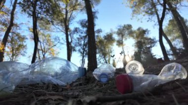 Doğadaki ormanda plastik şişeler