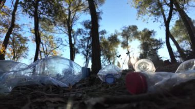 Doğadaki ormanda plastik şişeler
