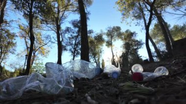 Doğadaki ormanda plastik şişeler