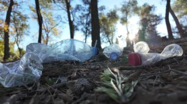 Doğadaki ormanda plastik şişeler