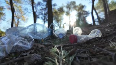Doğadaki ormanda plastik şişeler