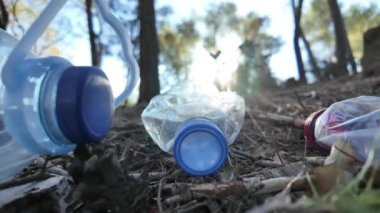 Doğadaki ormanda plastik şişeler