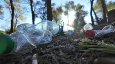 Doğadaki ormanda plastik şişeler