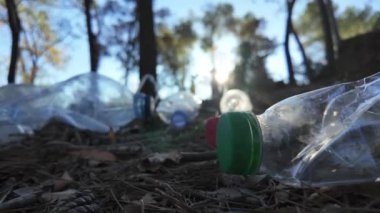 Doğadaki ormanda plastik şişeler