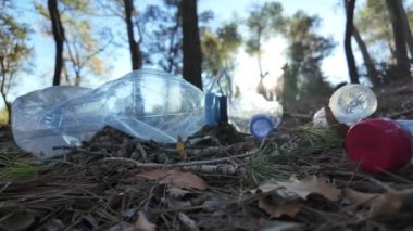 Doğadaki ormanda plastik şişeler