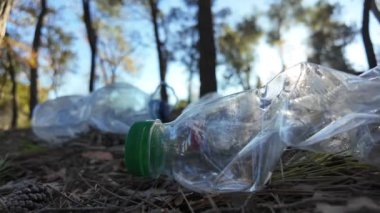 Doğadaki ormanda plastik şişeler