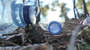 Doğadaki ormanda plastik şişeler