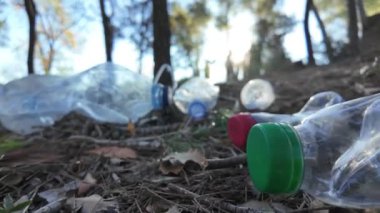 Doğadaki ormanda plastik şişeler