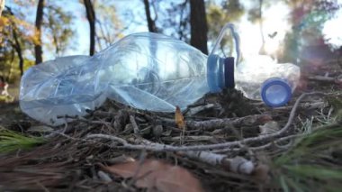 Doğadaki ormanda plastik şişeler