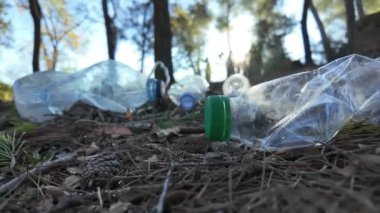 Doğadaki ormanda plastik şişeler