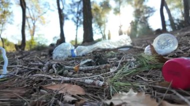 Doğadaki ormanda plastik şişeler