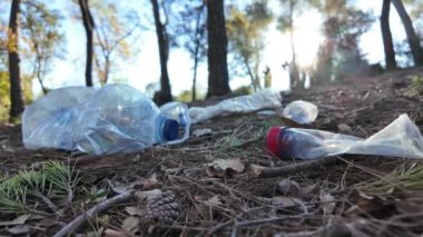 Doğadaki ormanda plastik şişeler