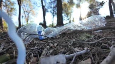 Doğadaki ormanda plastik şişeler