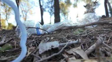 Doğadaki ormanda plastik şişeler