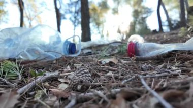 Doğadaki ormanda plastik şişeler