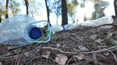 Doğadaki ormanda plastik şişeler