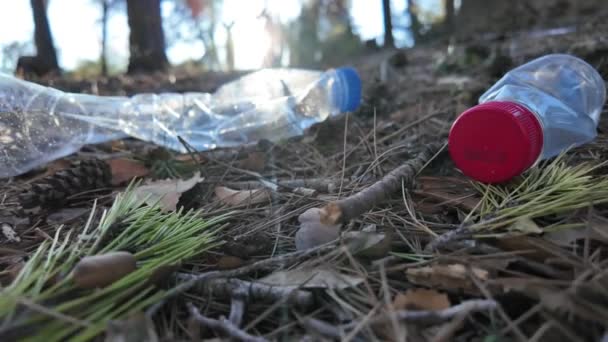 Doğadaki Ormanda Plastik Şişeler — Stok video