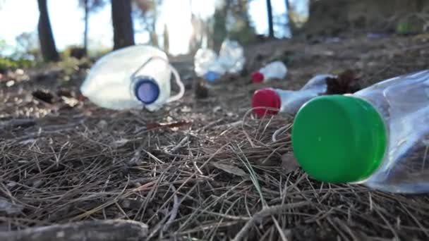 Botellas Plástico Bosque Naturaleza — Vídeos de Stock
