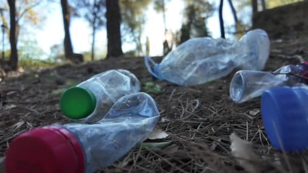 Plastikowe Butelki Lesie Przyrodzie — Wideo stockowe