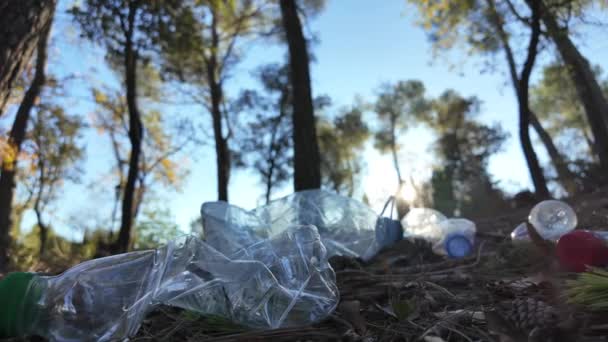 Botellas Plástico Bosque Naturaleza — Vídeo de stock