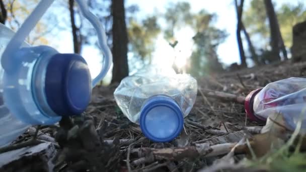 Plastikflaschen Wald Der Natur — Stockvideo