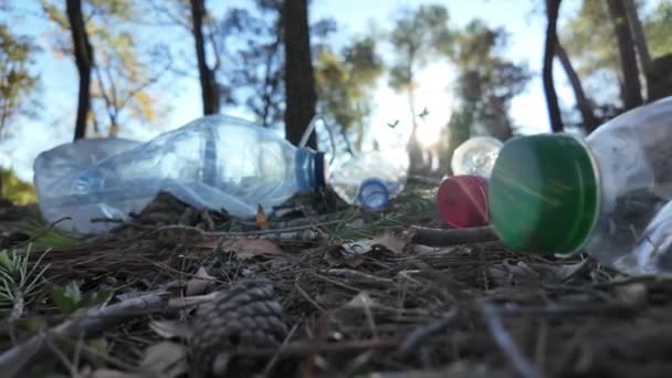 Plastic Flessen Het Bos Natuur — Stockvideo