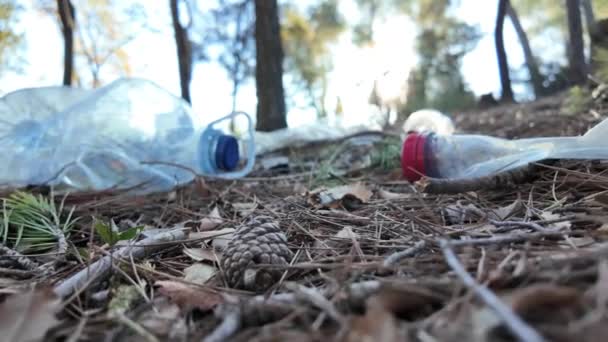 Plastflaskor Skogen Naturen — Stockvideo