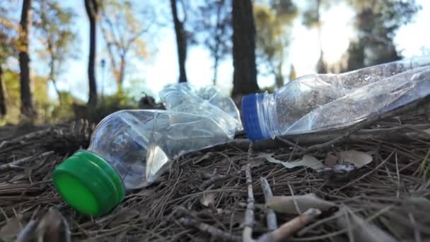 Plastflaskor Skogen Naturen — Stockvideo